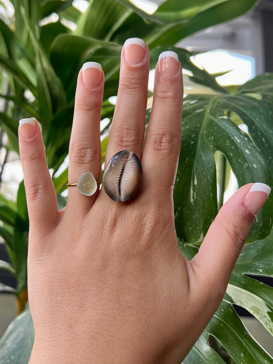 Honey Cowrie Ring