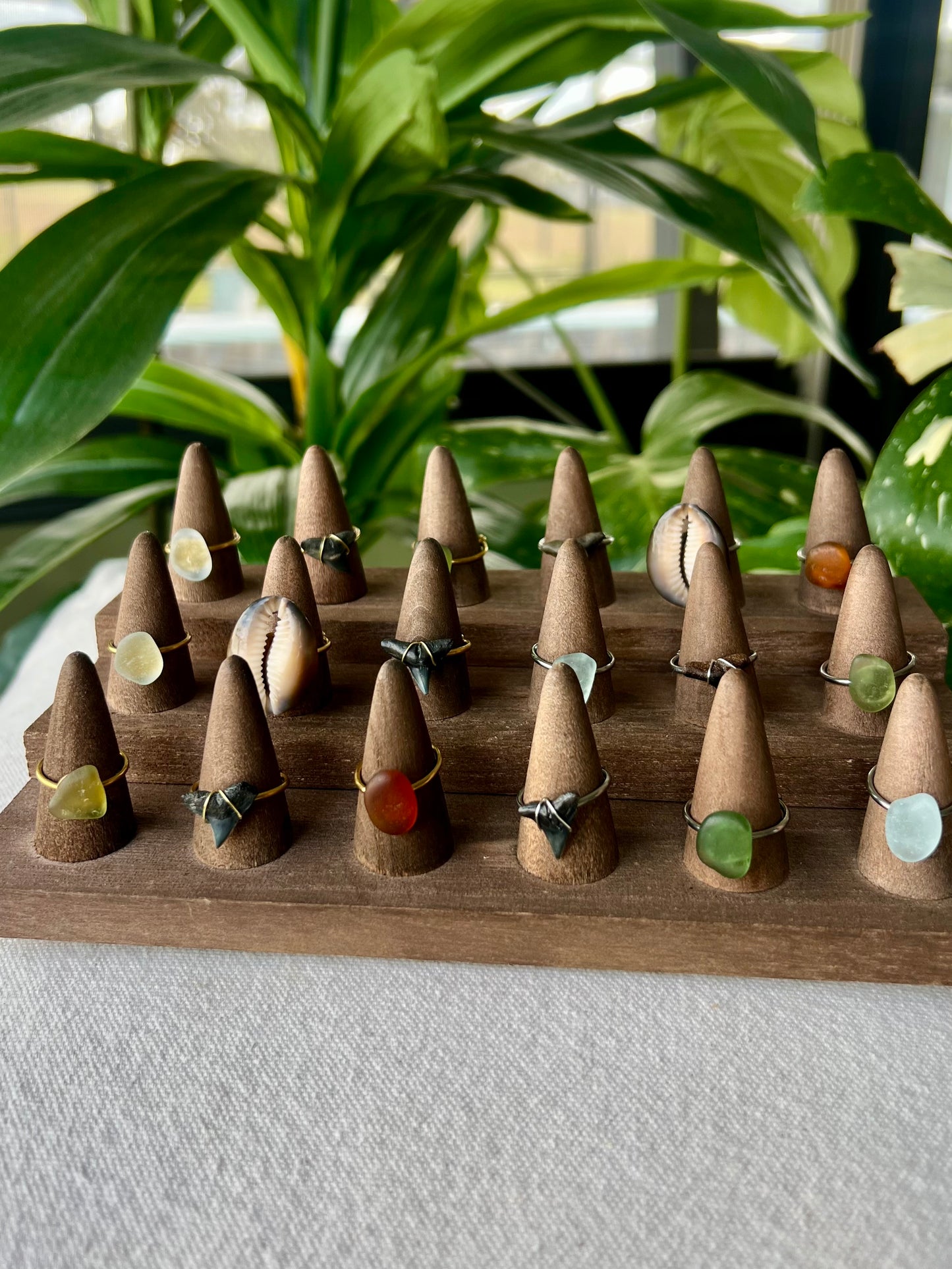 Shark Tooth Rings