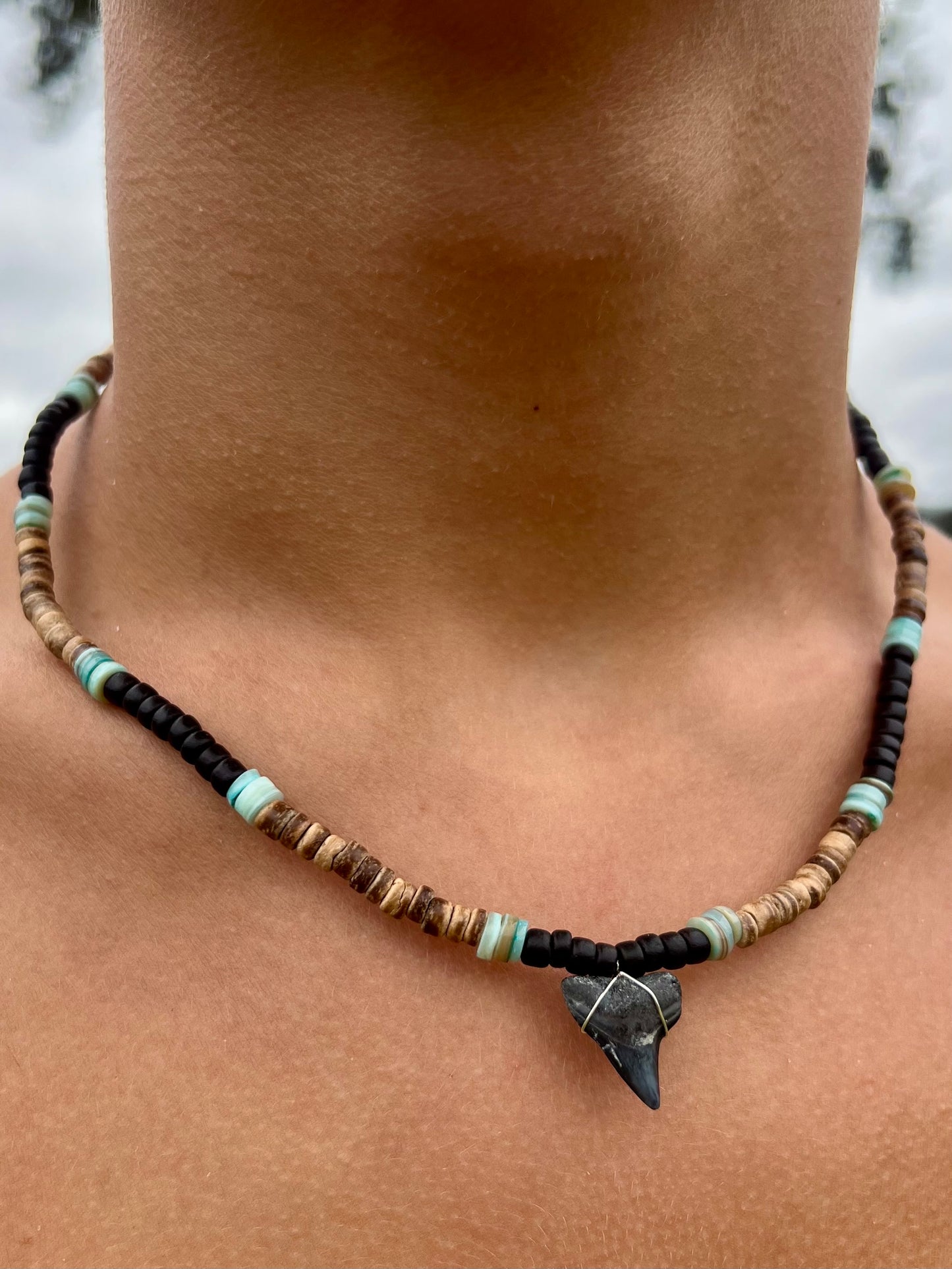 Cloudbreak Shark Tooth Necklace