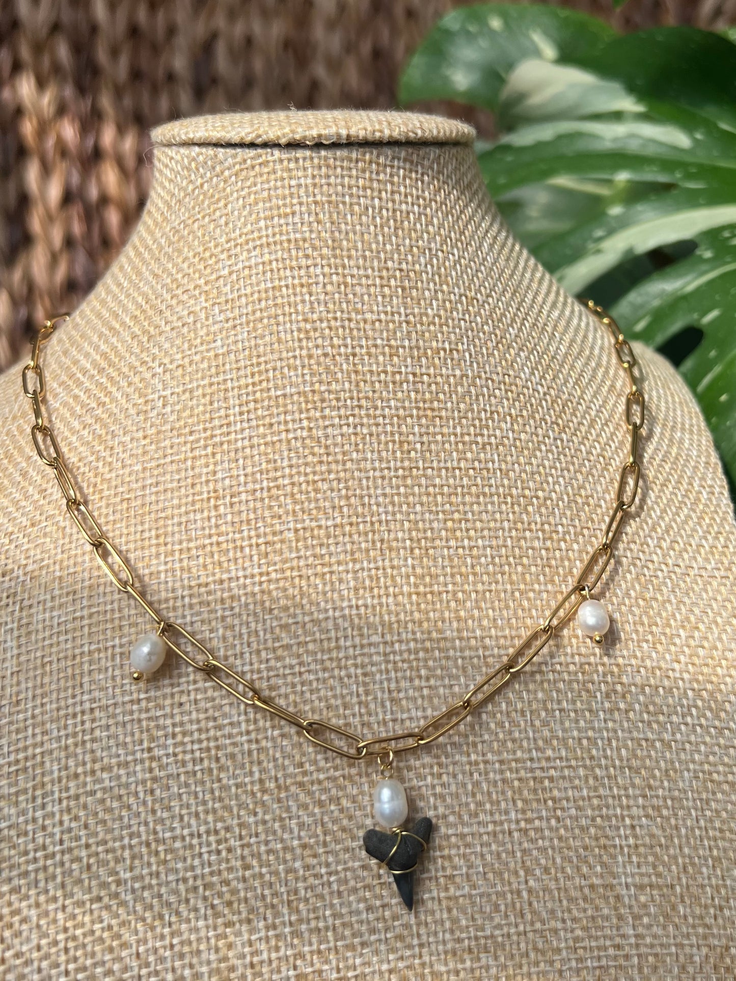 Freshwater Pearl Shark Tooth Necklace