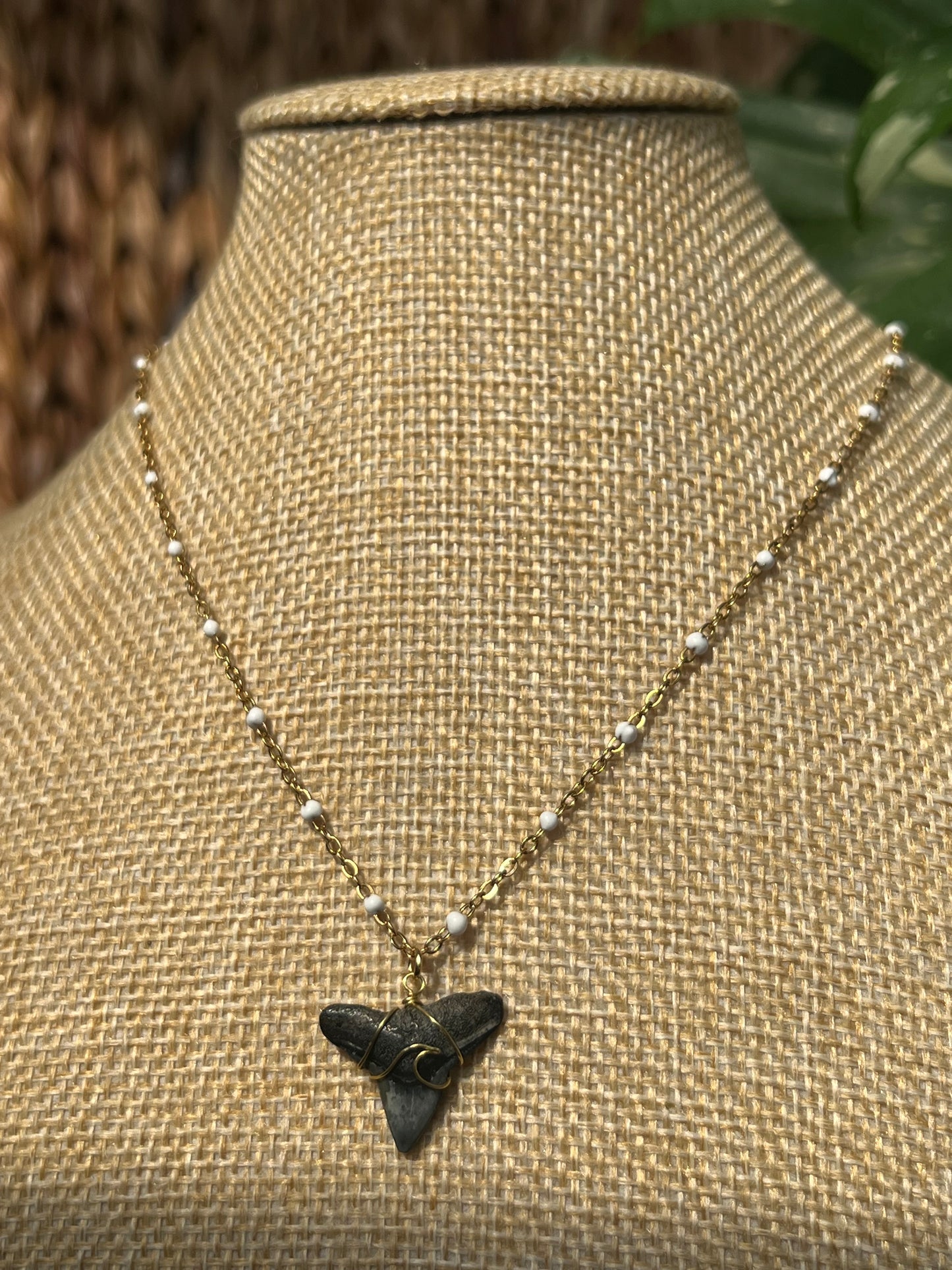Wave Shark Tooth Necklace - White