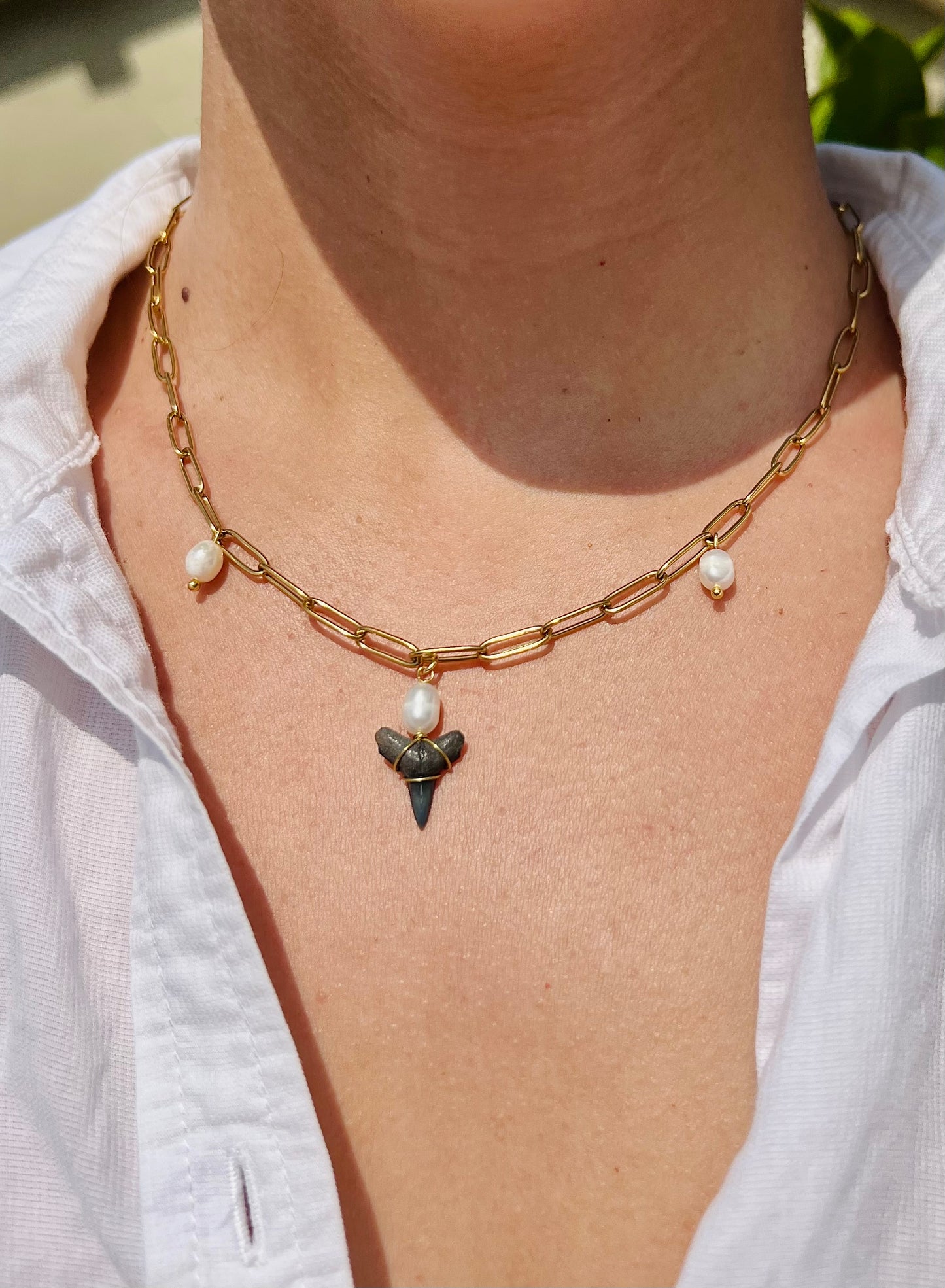 Freshwater Pearl Shark Tooth Necklace