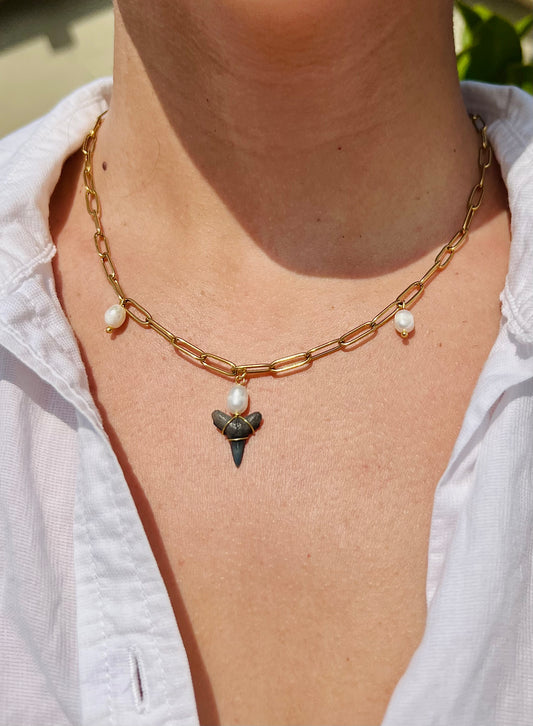 Freshwater Pearl Shark Tooth Necklace