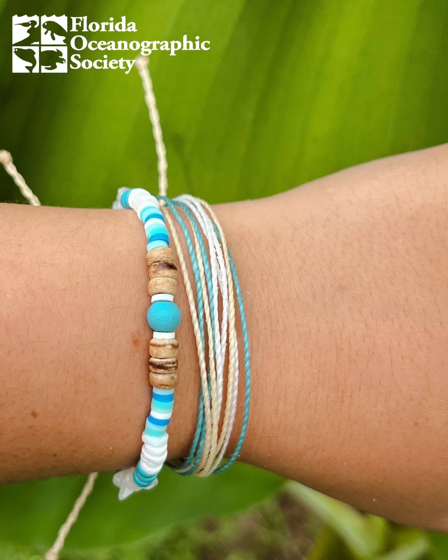 Ocean Conservation Stack