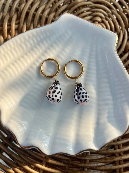 Hebrew Cone Shell Earrings