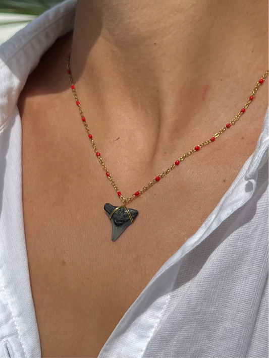 Gold Shark Tooth Necklace - Red