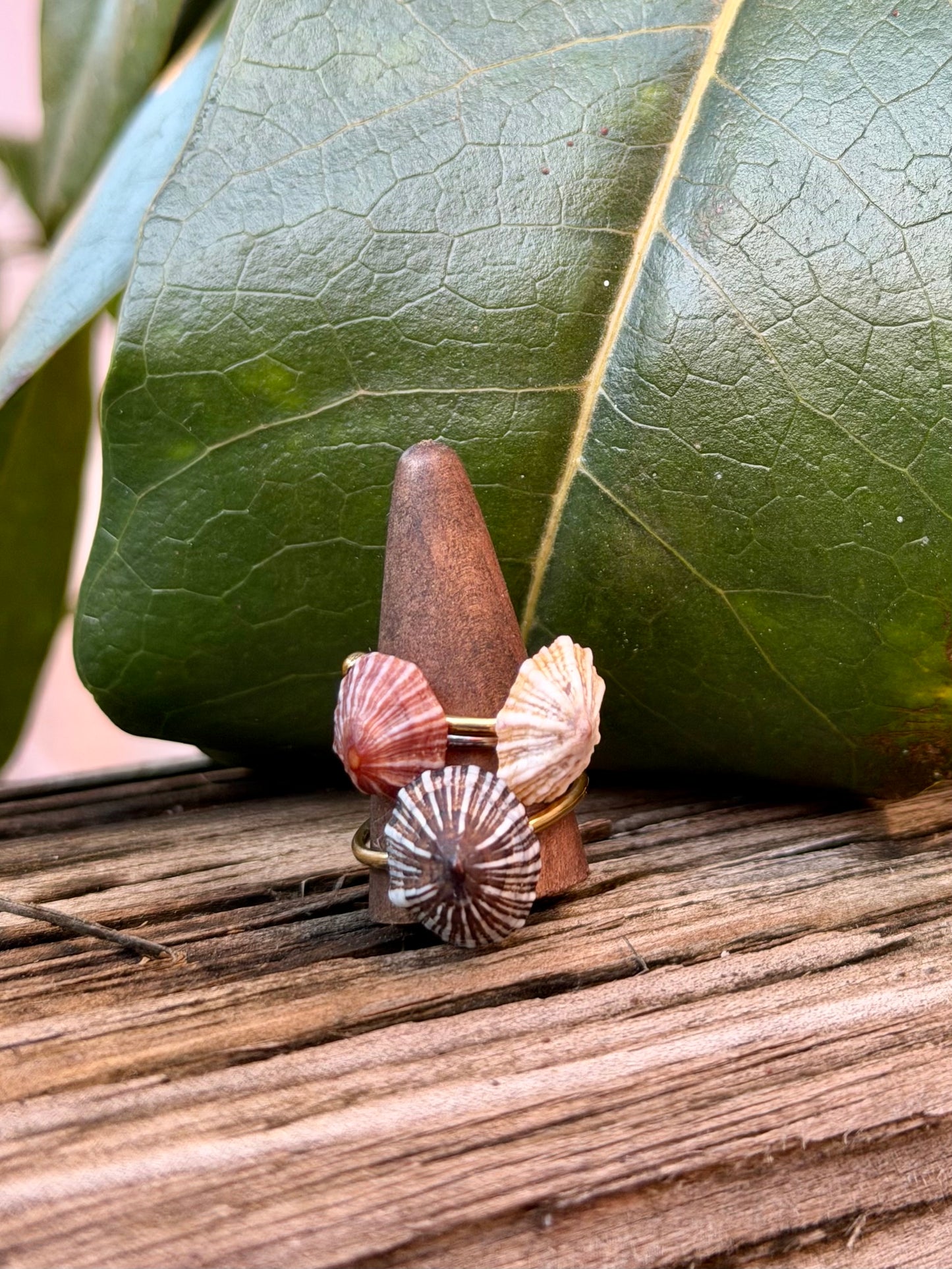 Opihi Rings - Silver