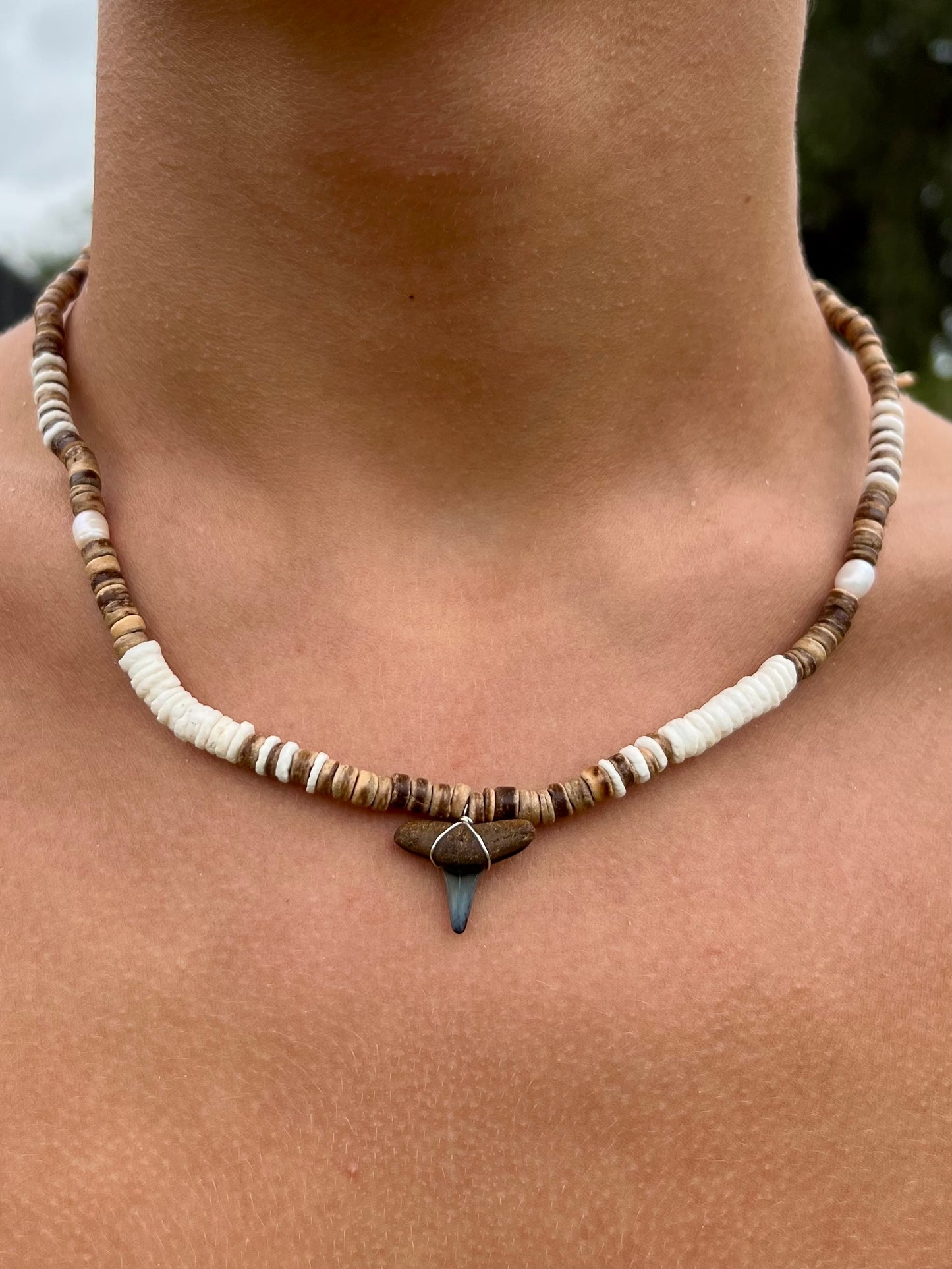 Canggu Shark Tooth Necklace