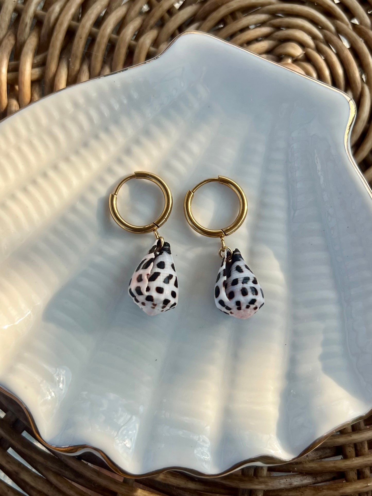 Hebrew Cone Shell Earrings