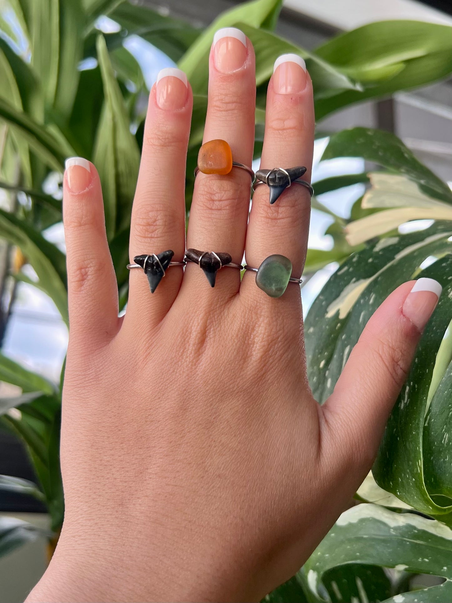 Shark Tooth Rings