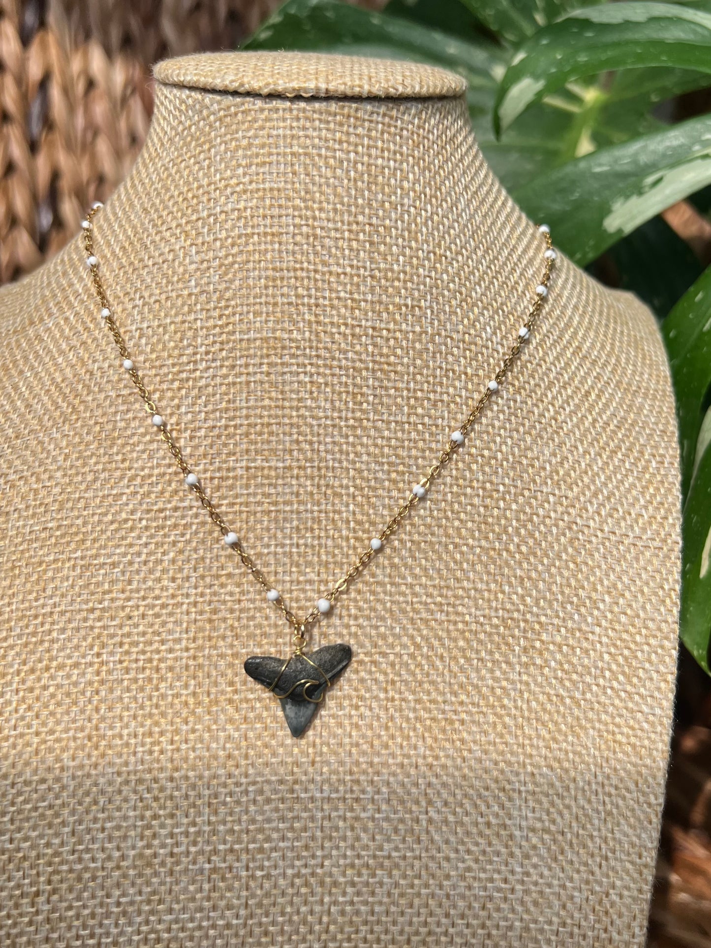 Wave Shark Tooth Necklace - White