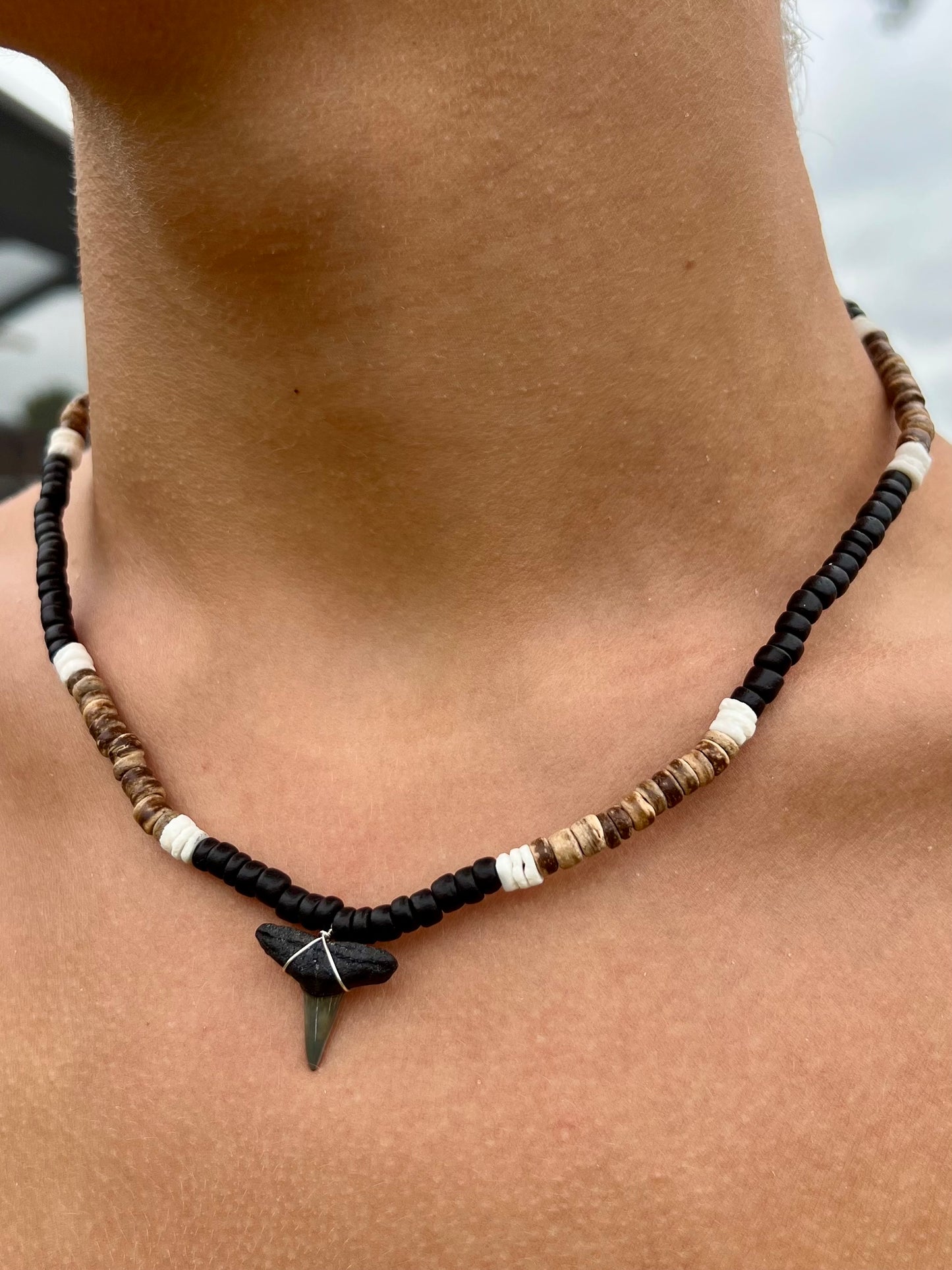 Useppa Shark Tooth Necklace