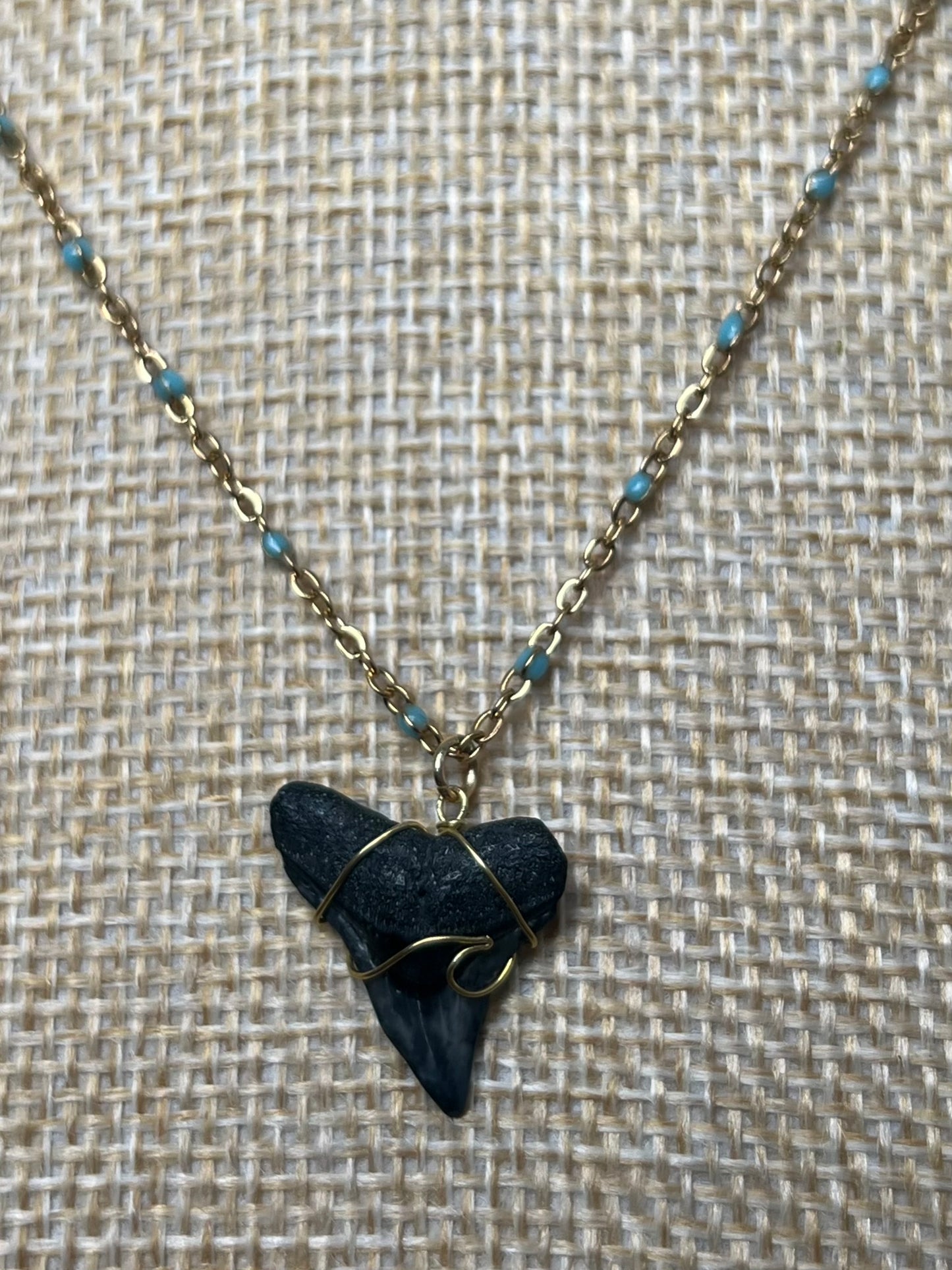 Wave Shark Tooth Necklace - Blue