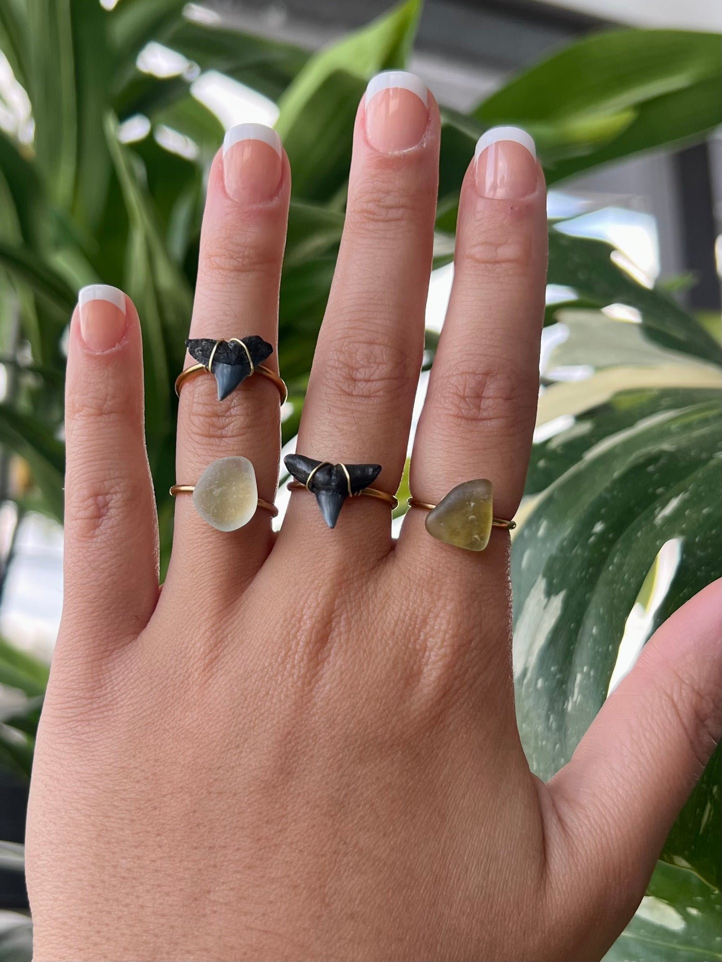 Shark Tooth Rings
