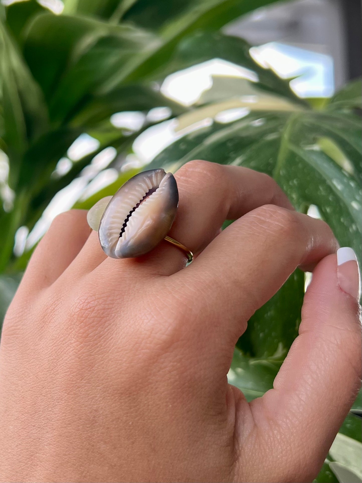 Honey Cowrie Ring