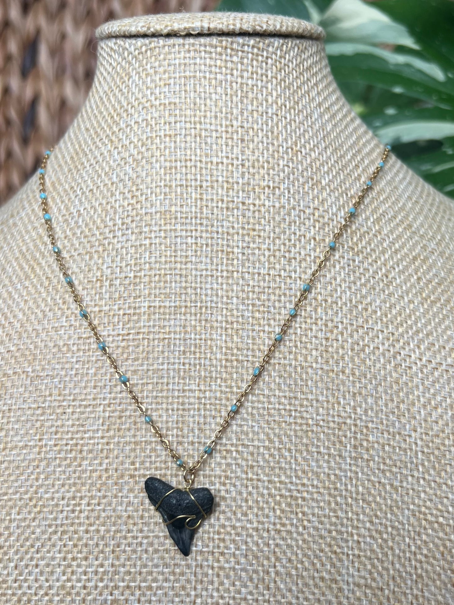 Wave Shark Tooth Necklace - Blue