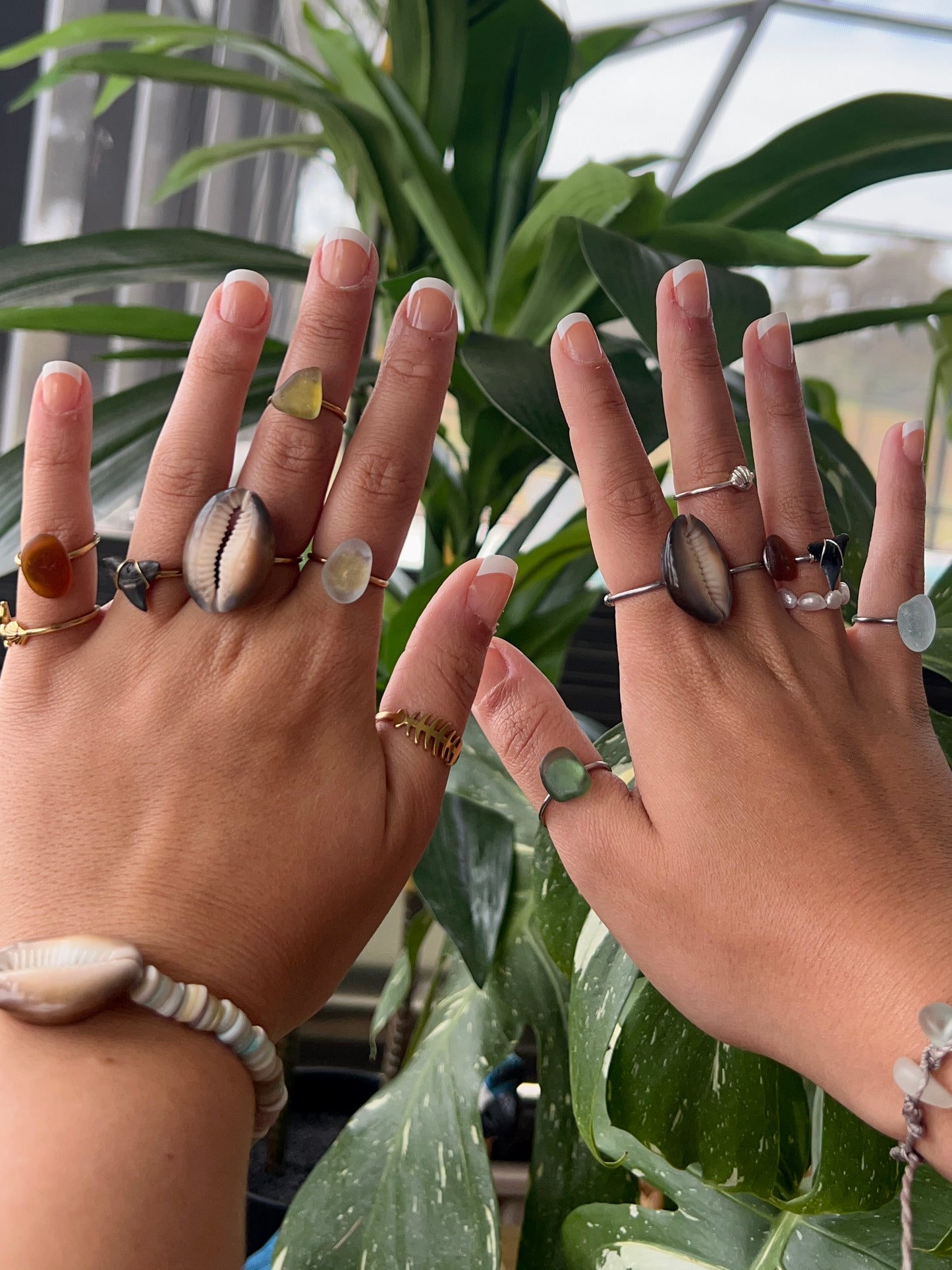 Shark Tooth Rings