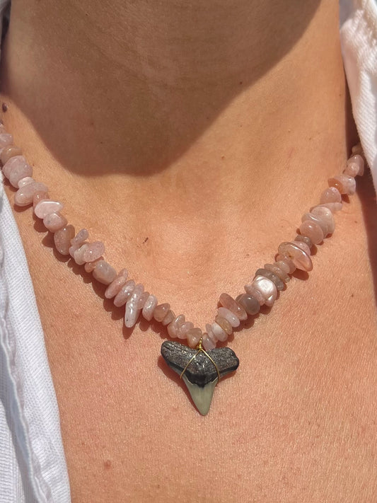 Sun Stone Shark Tooth Necklace