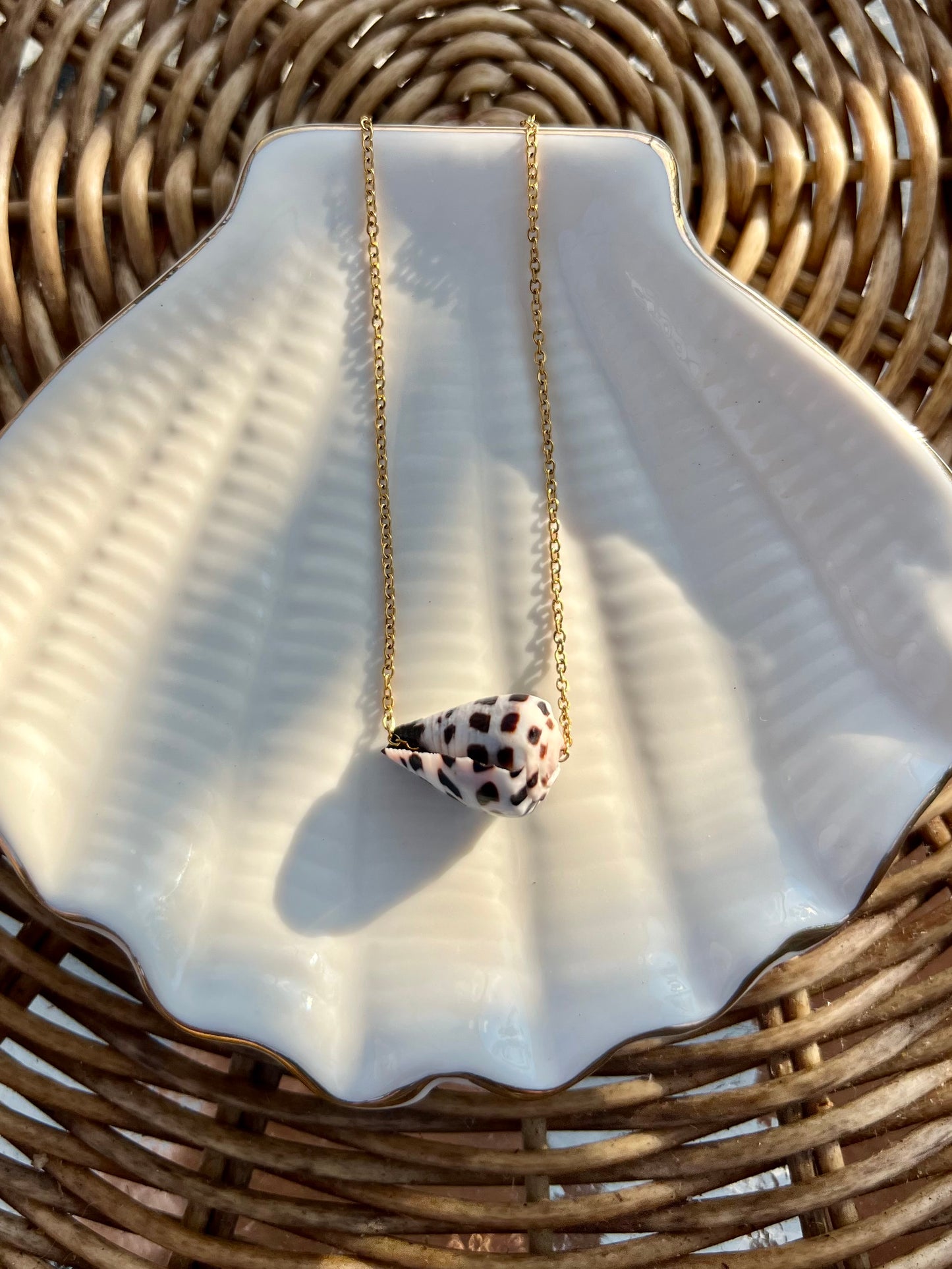 Hebrew Cone Shell Necklace
