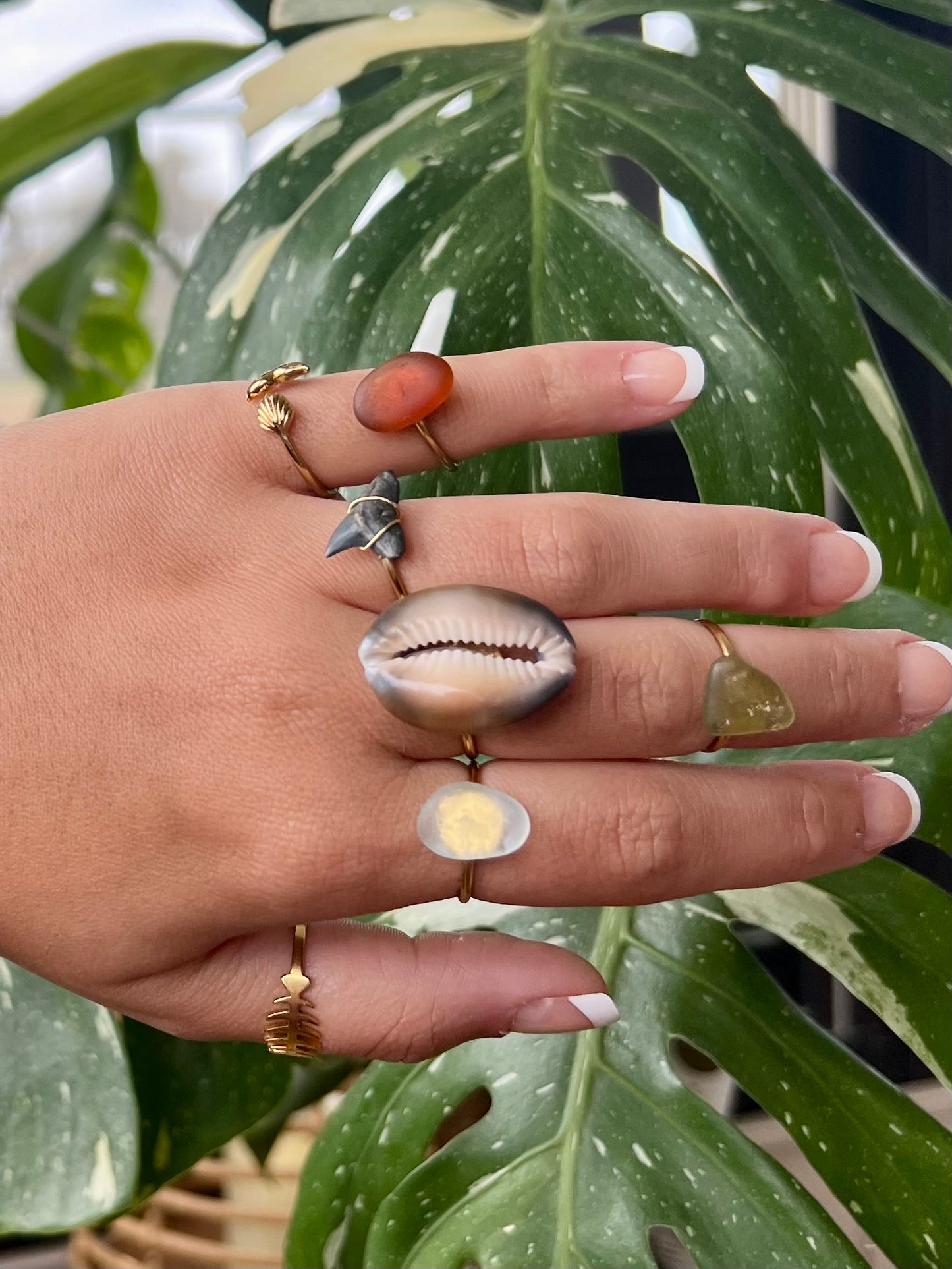 Shark Tooth Rings