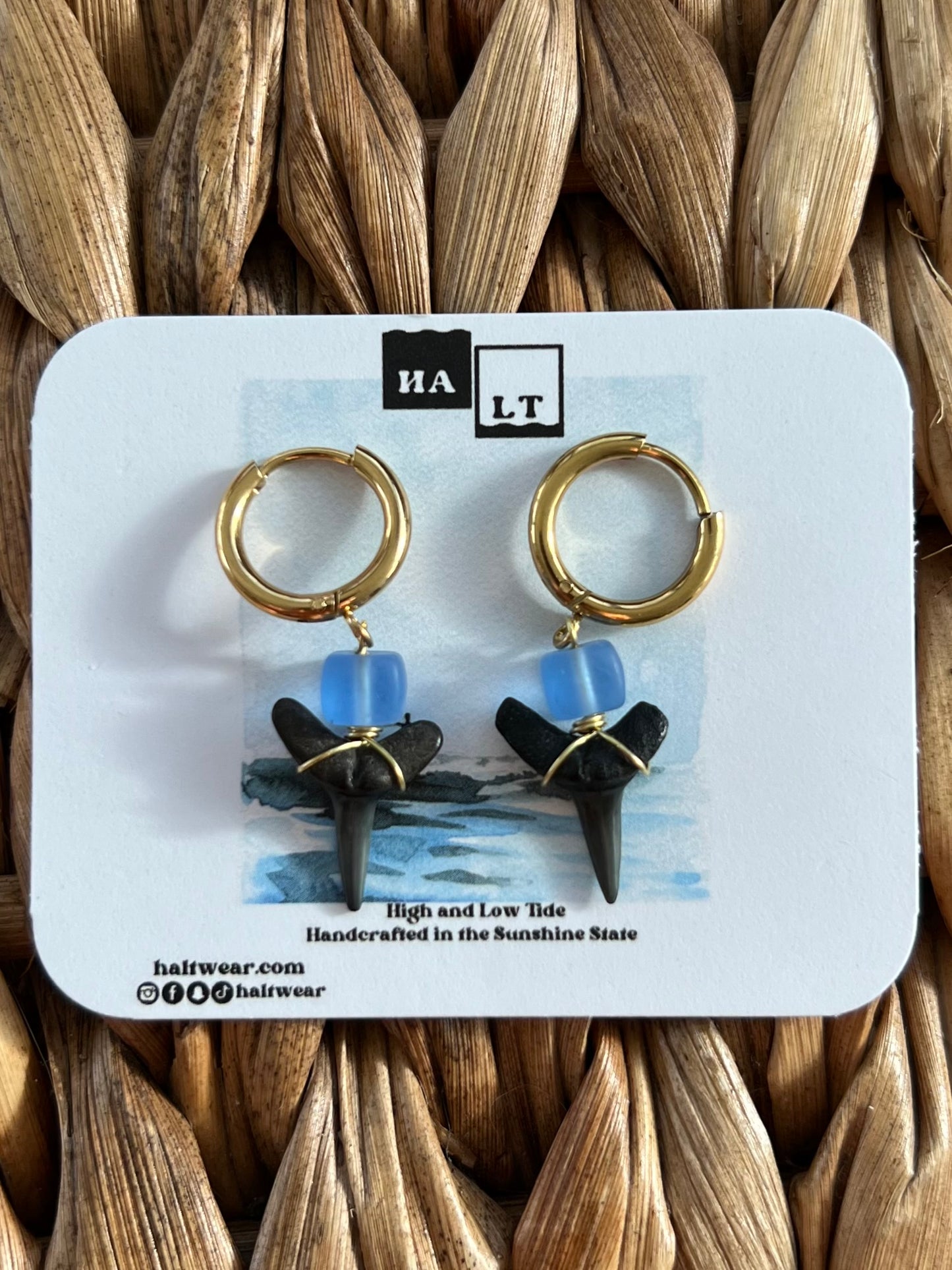 Square Sea Glass Shark Tooth Earrings