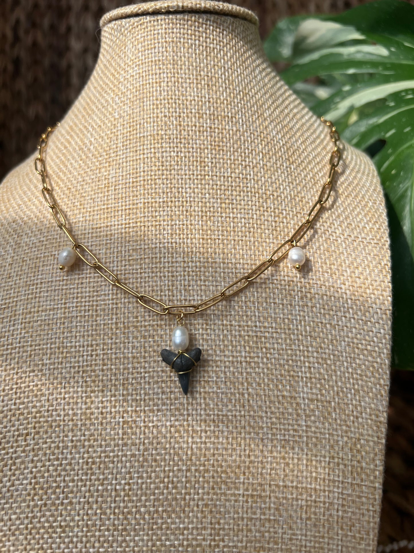 Freshwater Pearl Shark Tooth Necklace