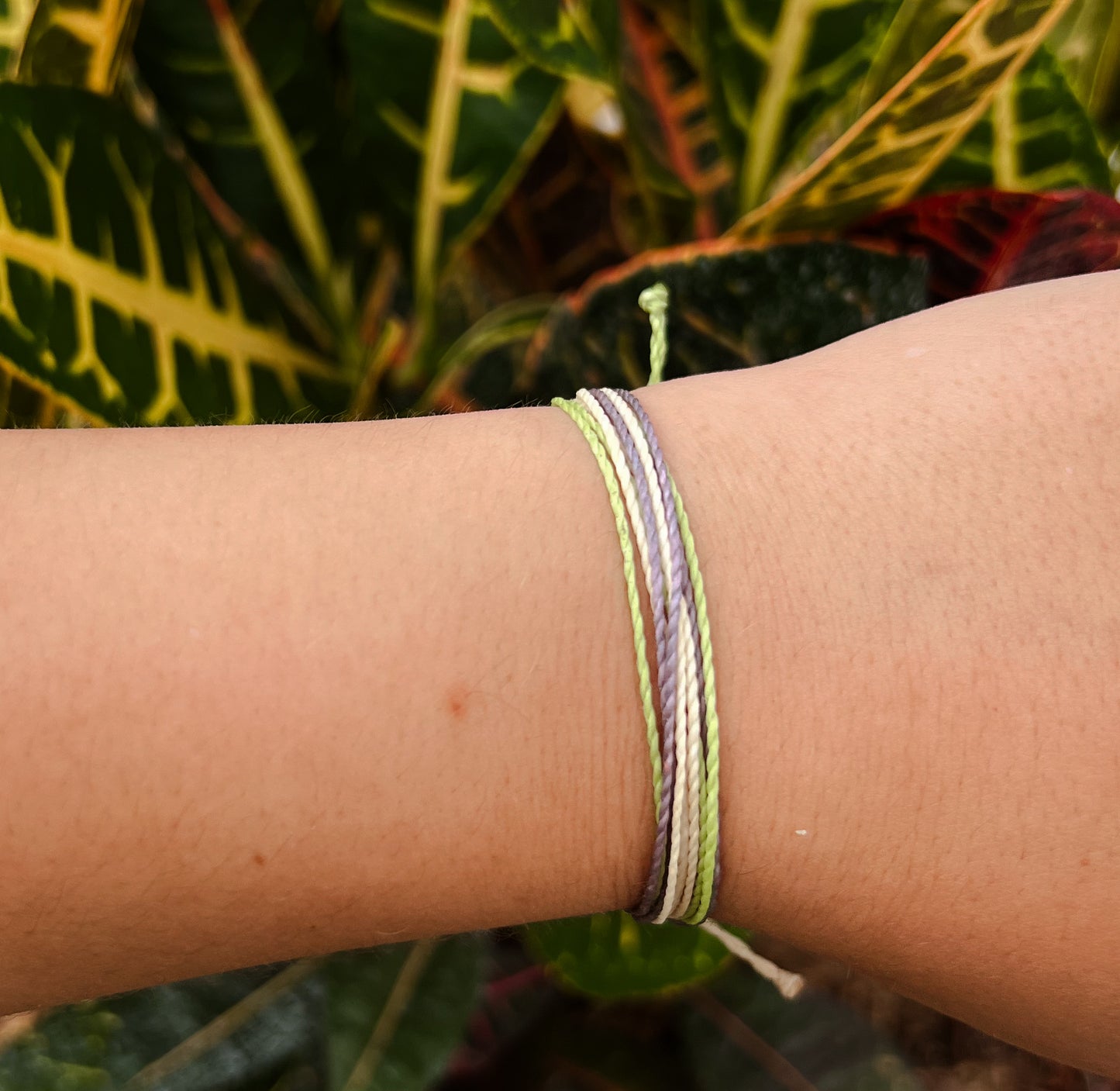 Palmas Bracelet