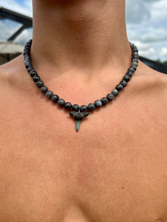 Chunky Shark Tooth Necklace - Black