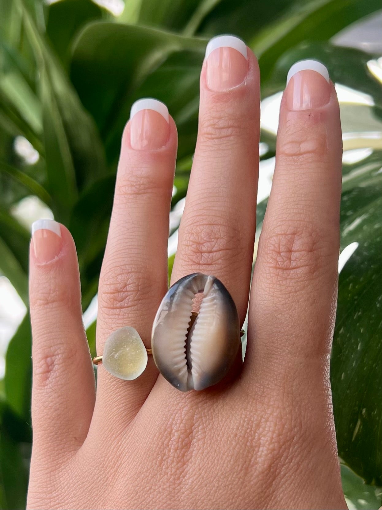 Honey Cowrie Ring