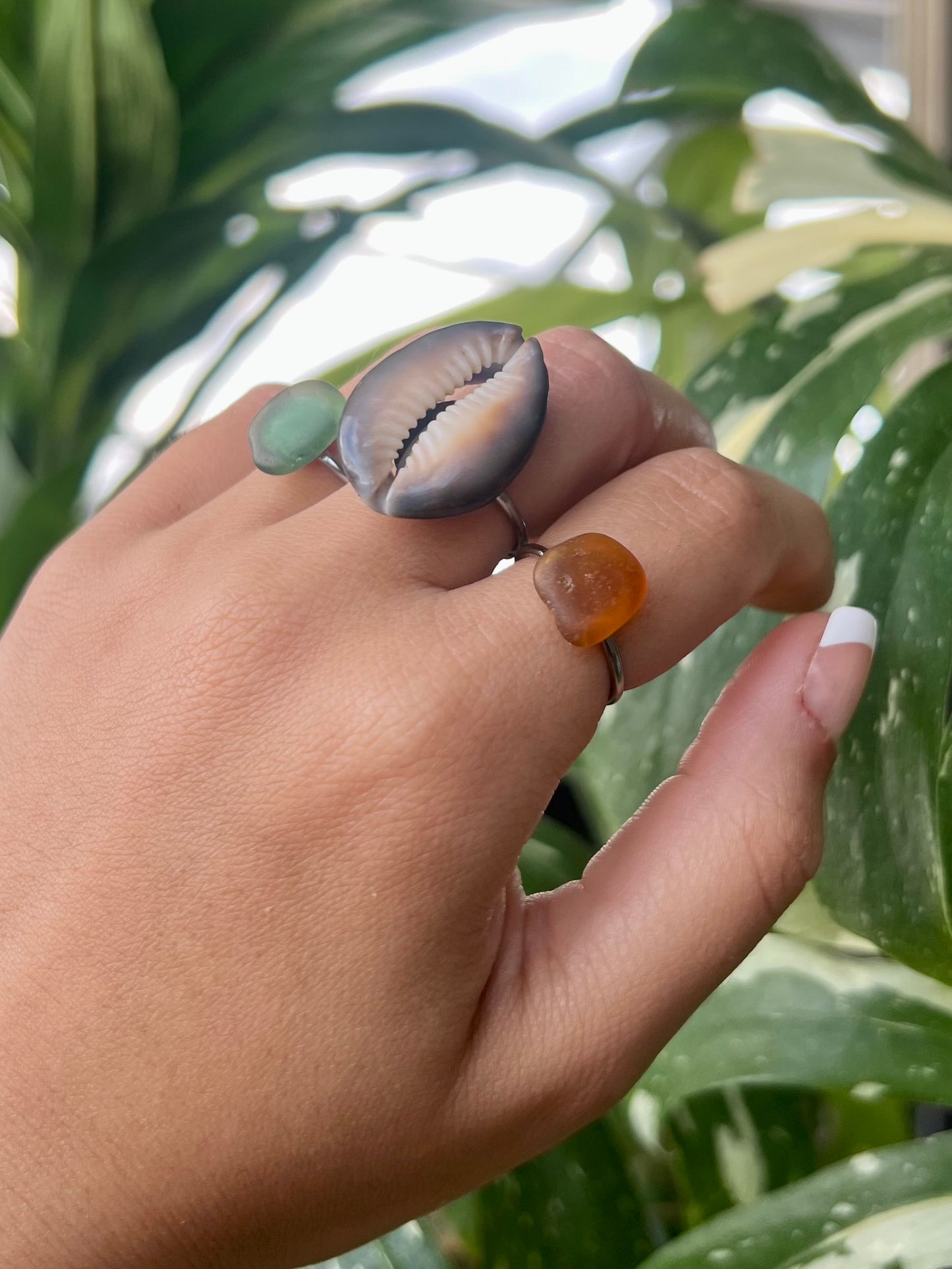 Honey Cowrie Ring
