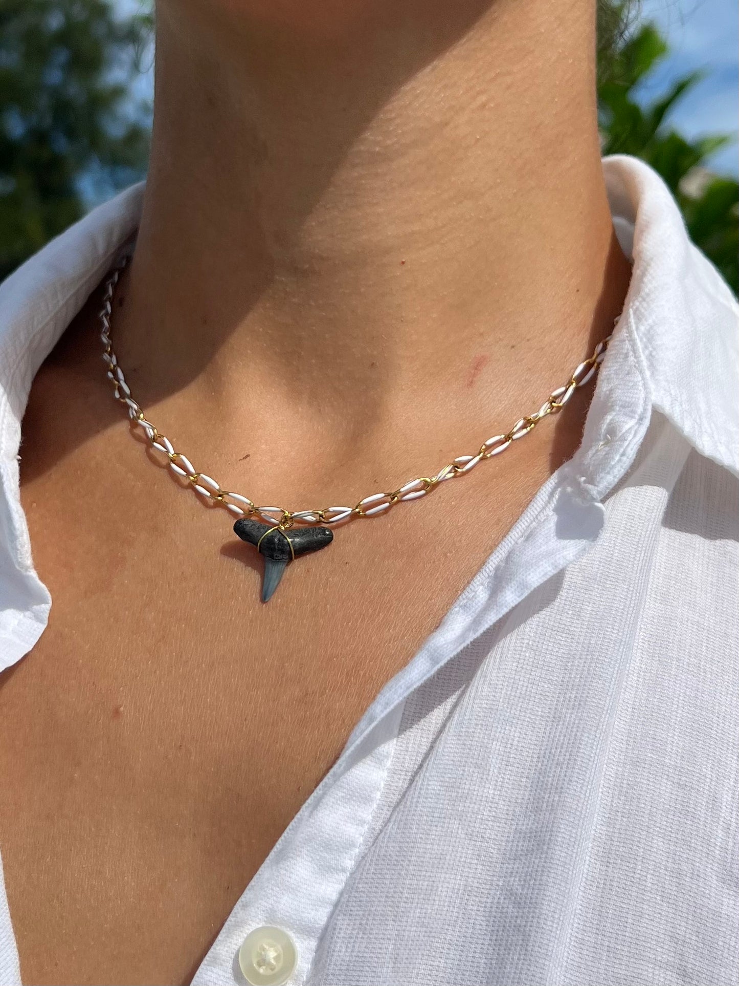 White Chain Shark Tooth Necklace