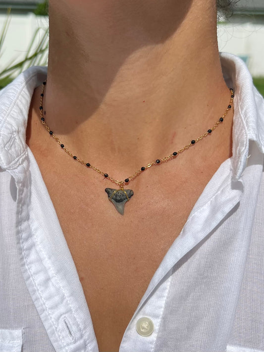 Gold Shark Tooth Necklace - Black