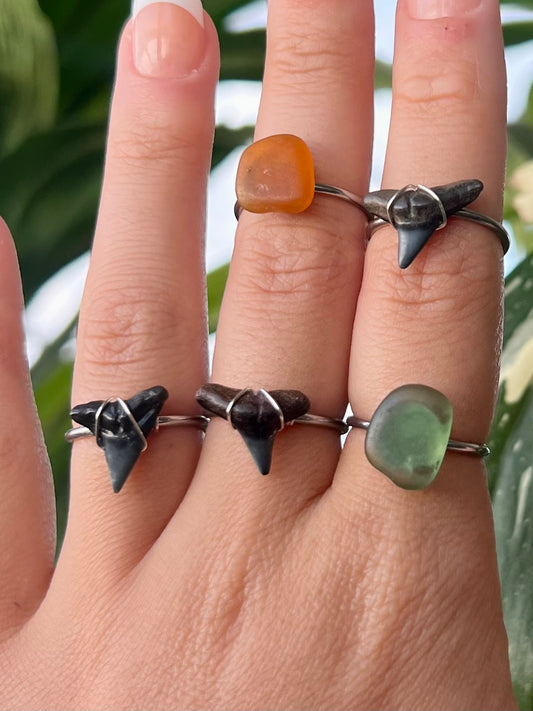 Shark Tooth Rings