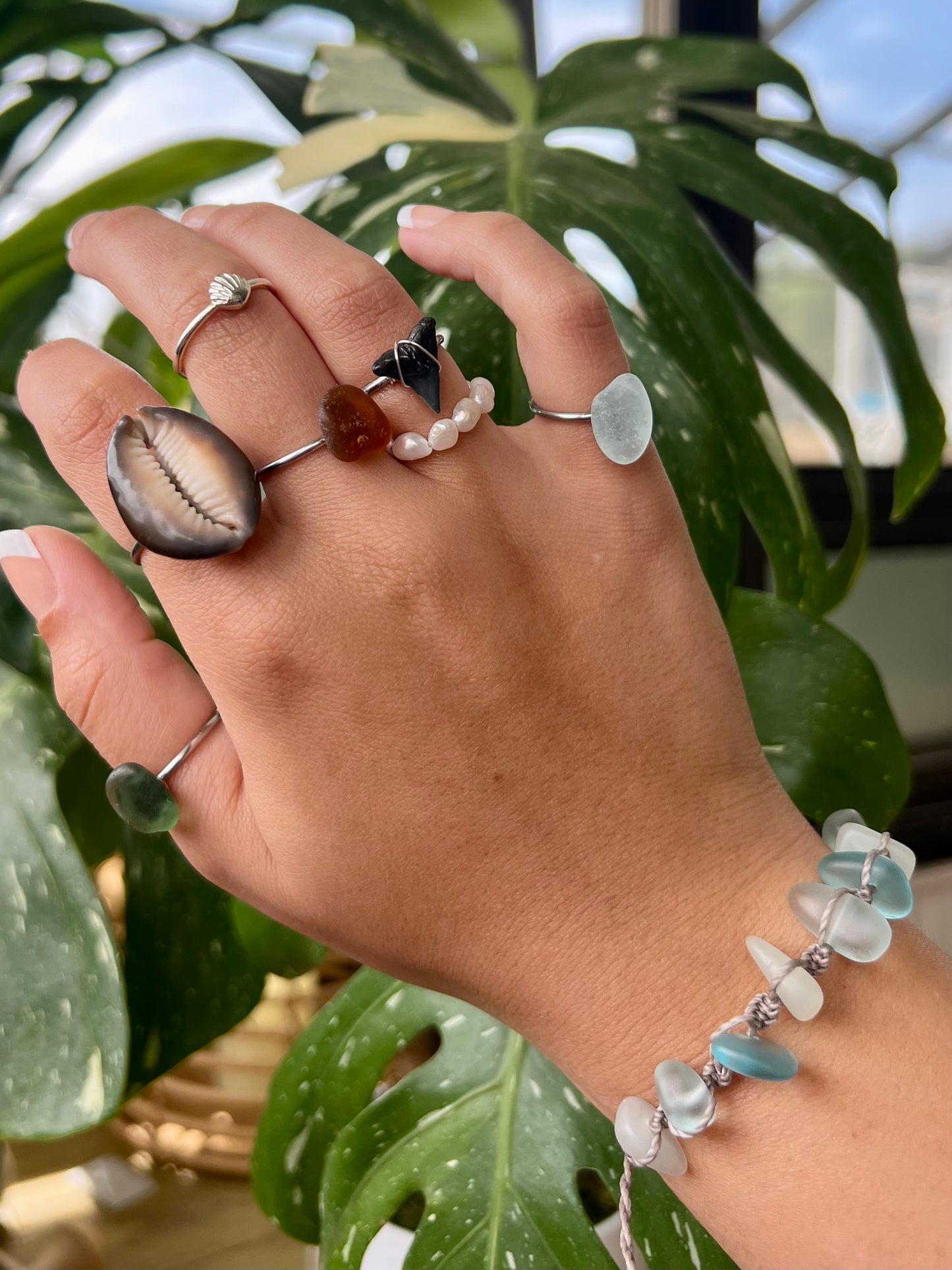 Shark Tooth Rings