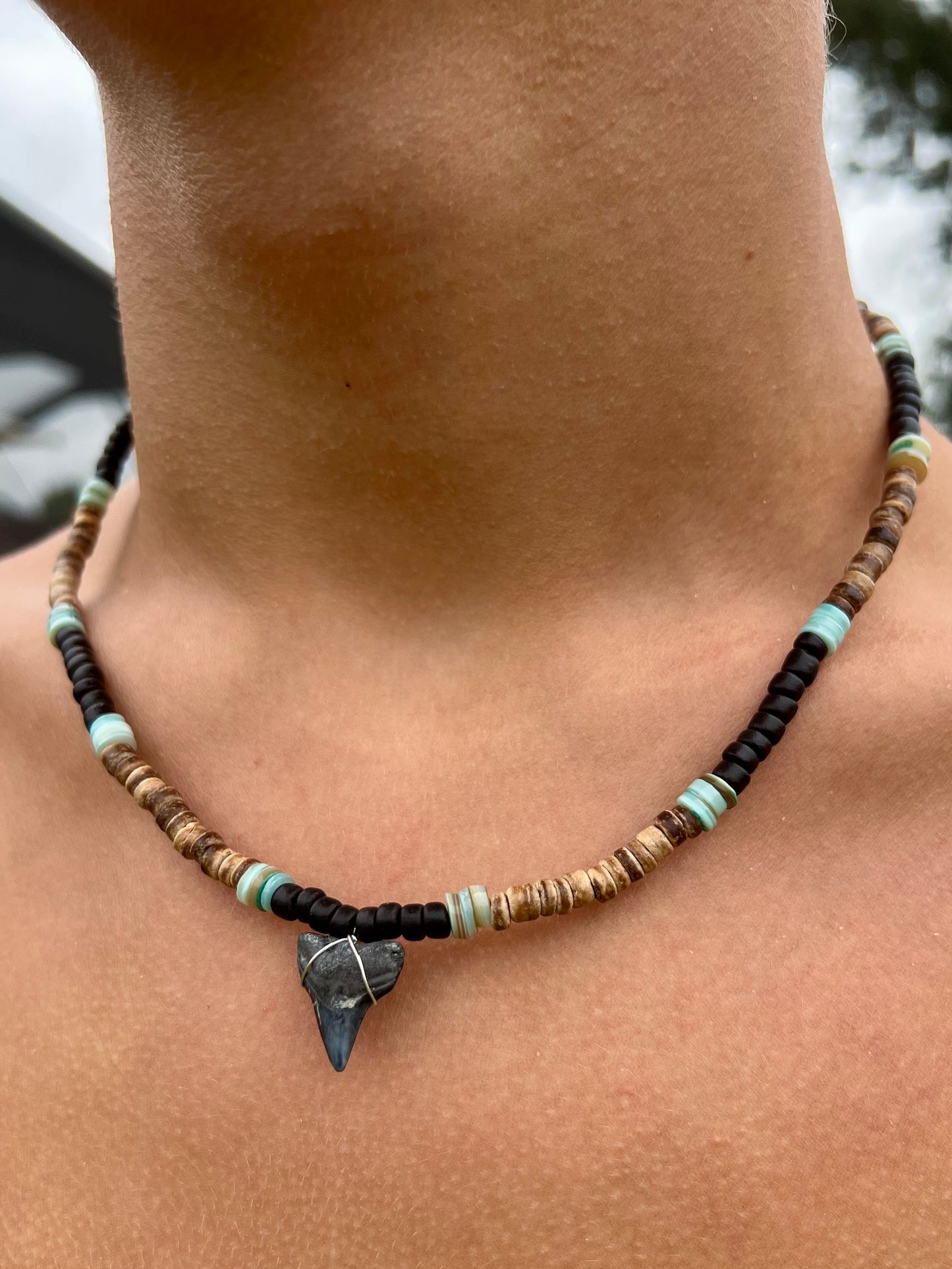 Cloudbreak Shark Tooth Necklace