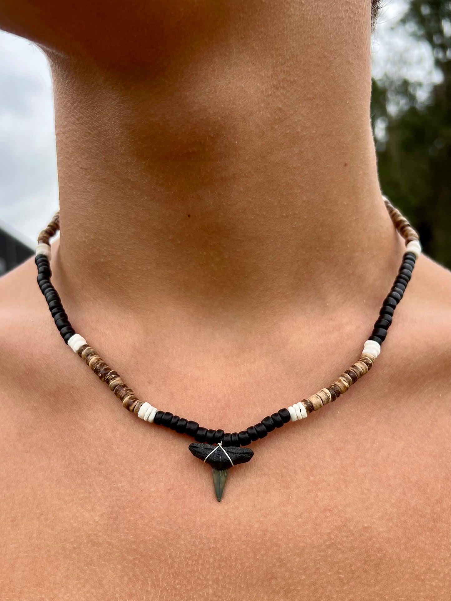 Useppa Shark Tooth Necklace