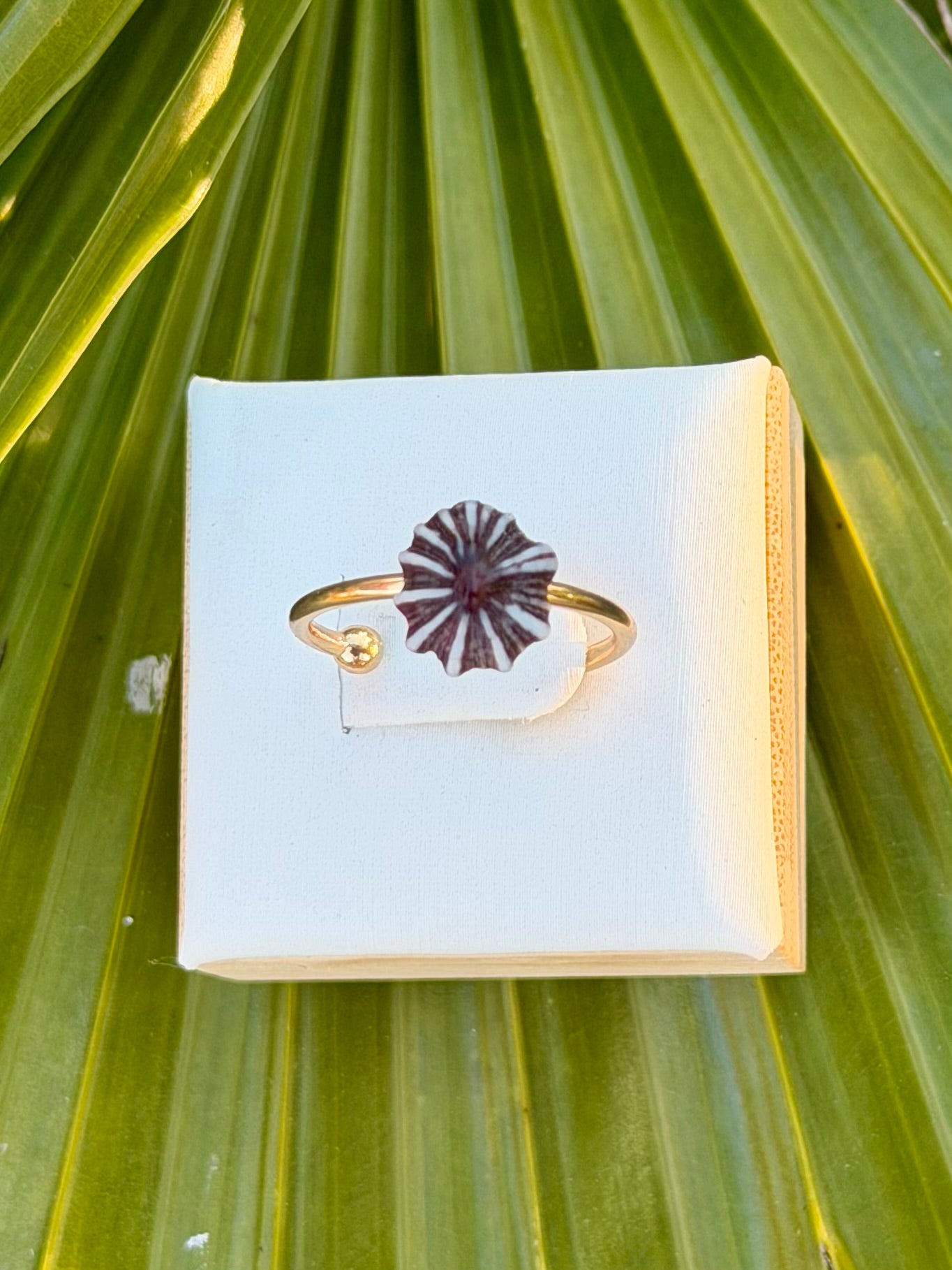 Opihi Rings - Silver