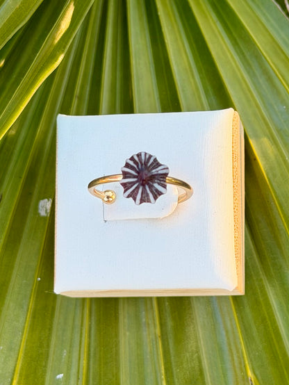 Opihi Rings - Silver