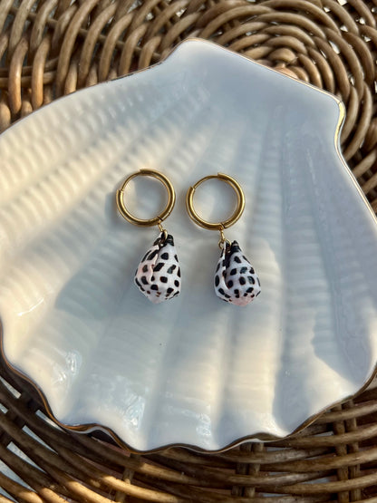 Hebrew Cone Shell Earrings