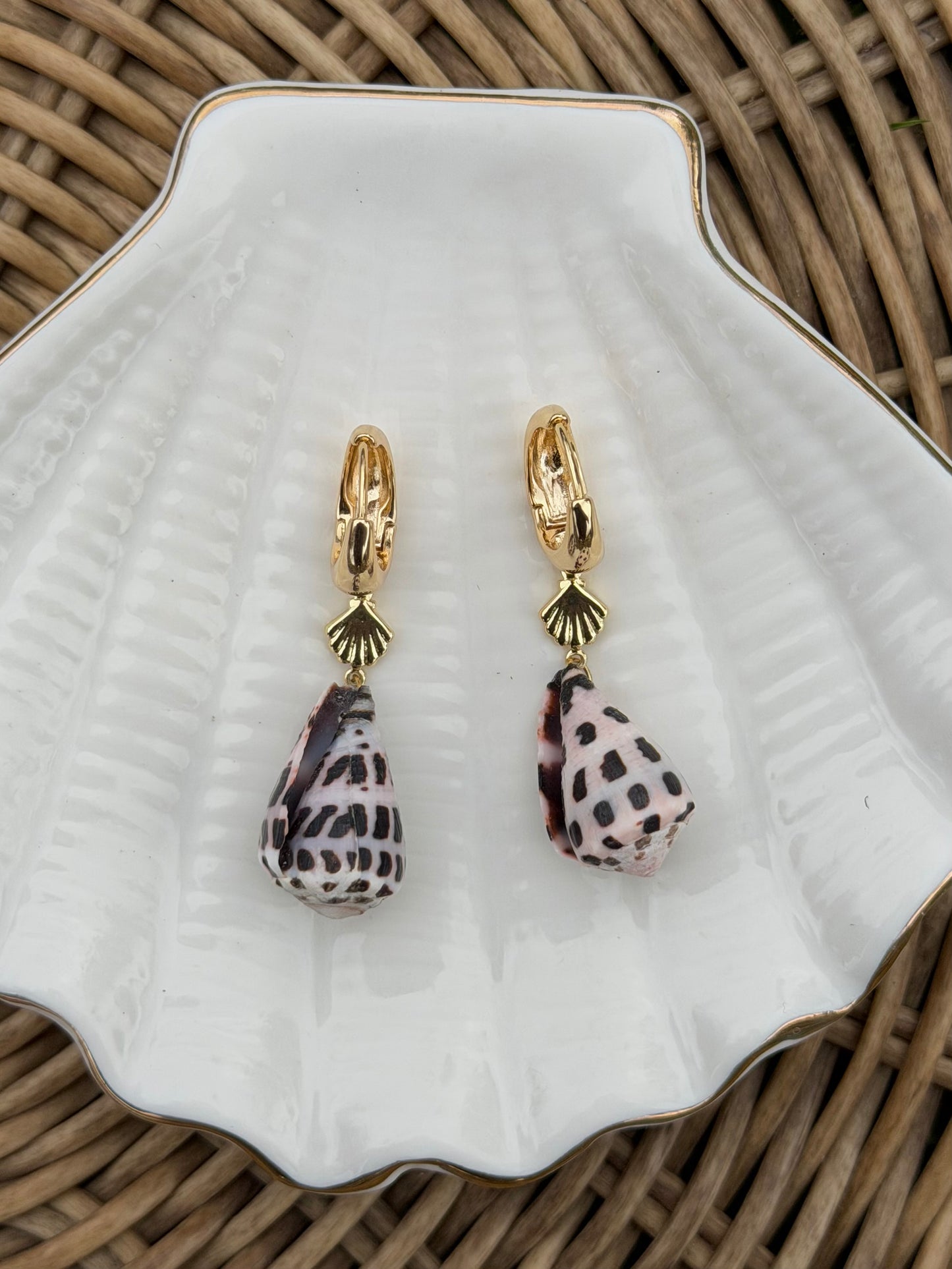 Gold Shell Hebrew Cone Earrings