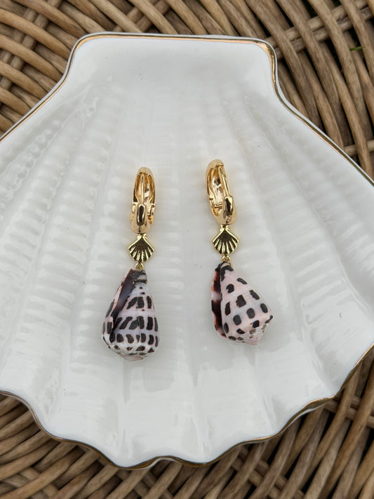 Gold Shell Hebrew Cone Earrings