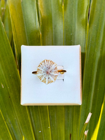Opihi Rings - Silver