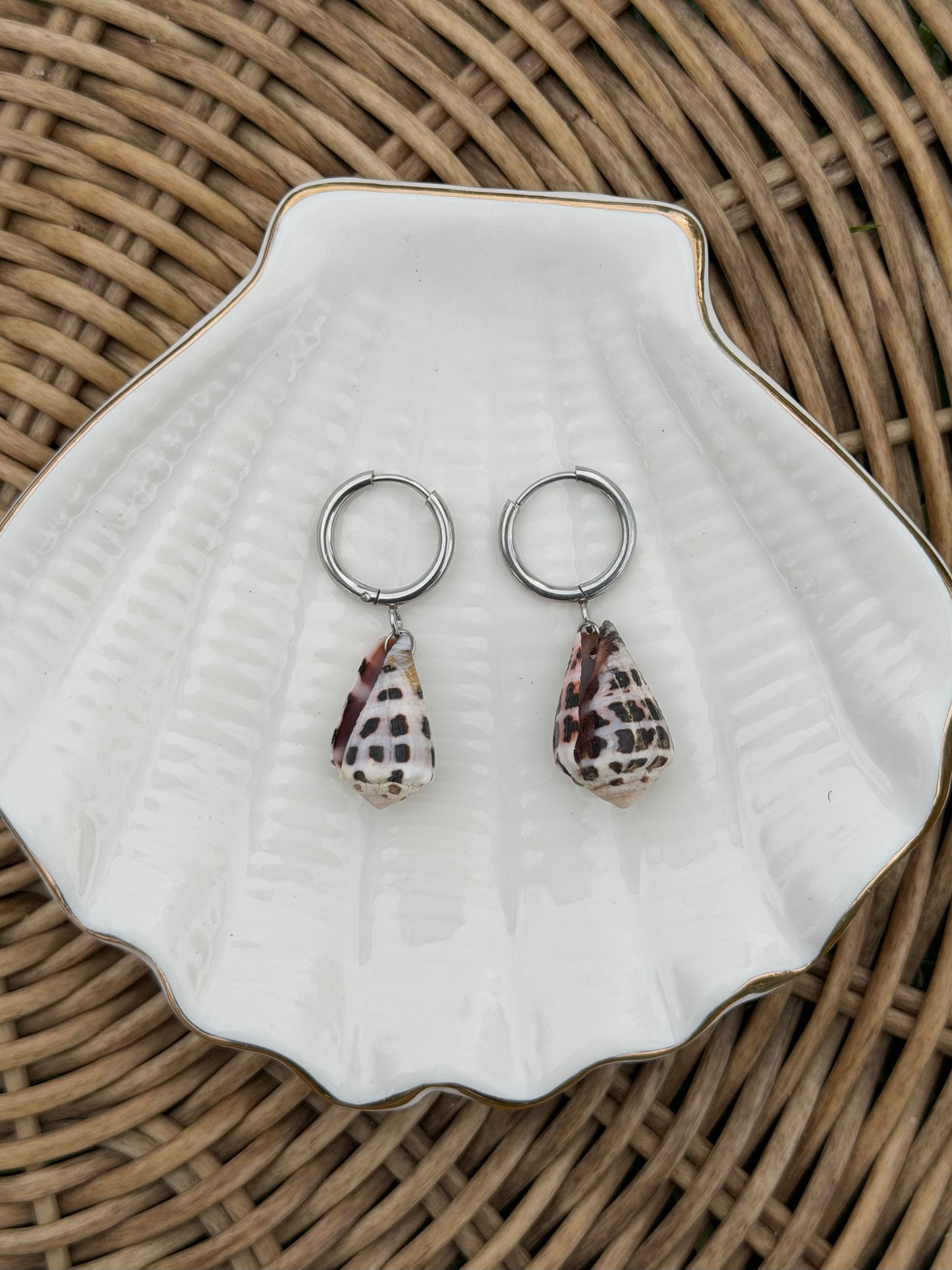 Hebrew Cone Shell Earrings - Silver