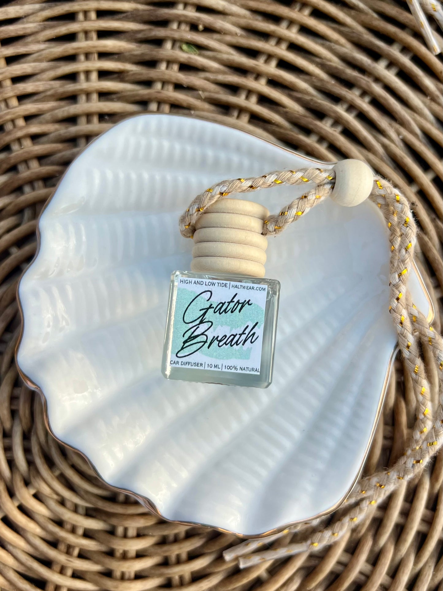 Florida Citrus Car Diffuser