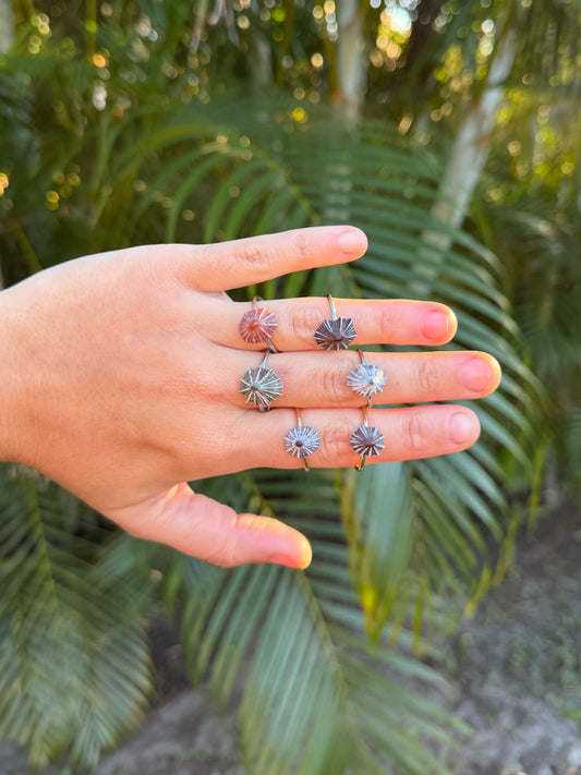 Opihi Rings - Gold