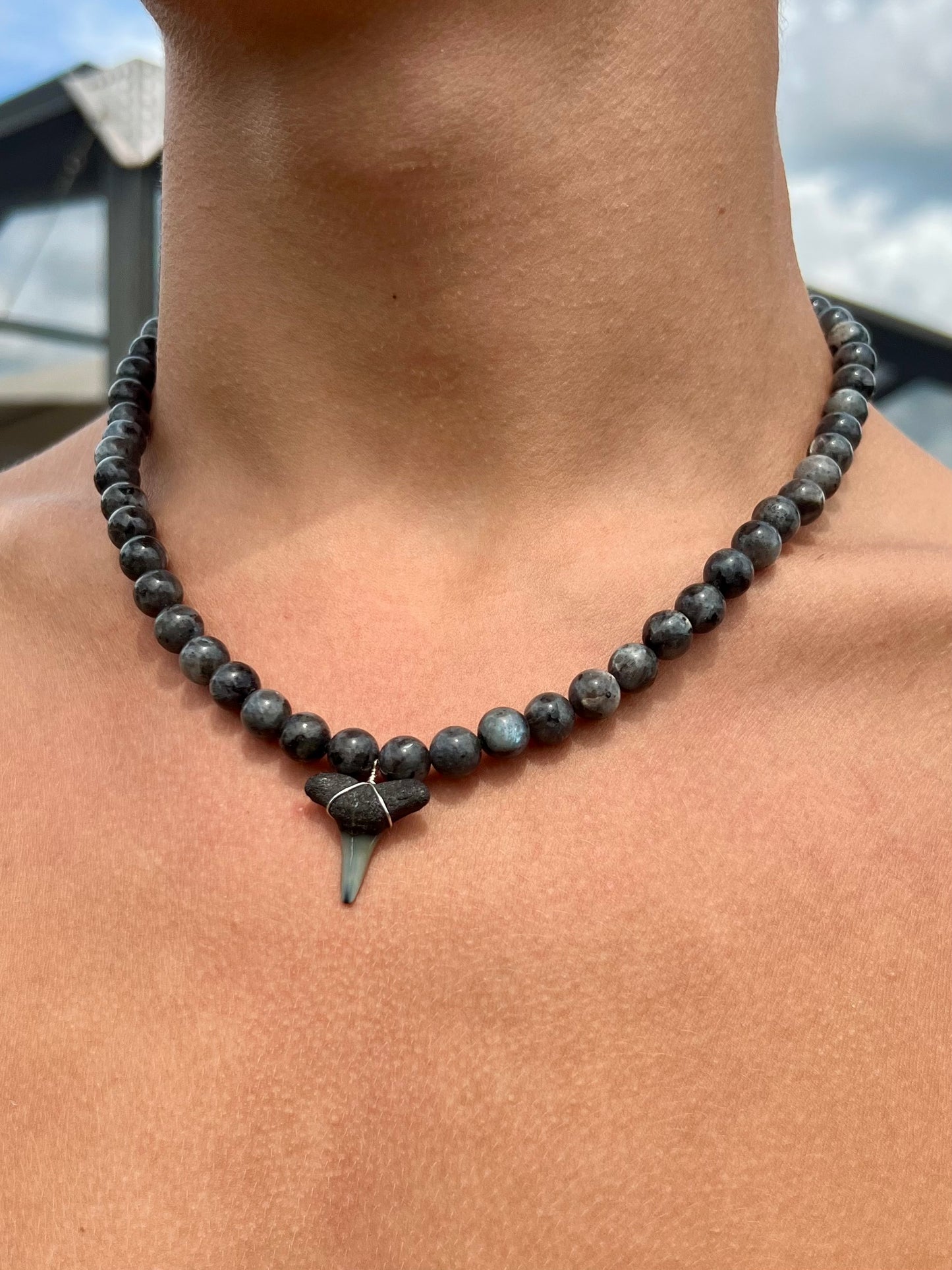 Chunky Shark Tooth Necklace - Black