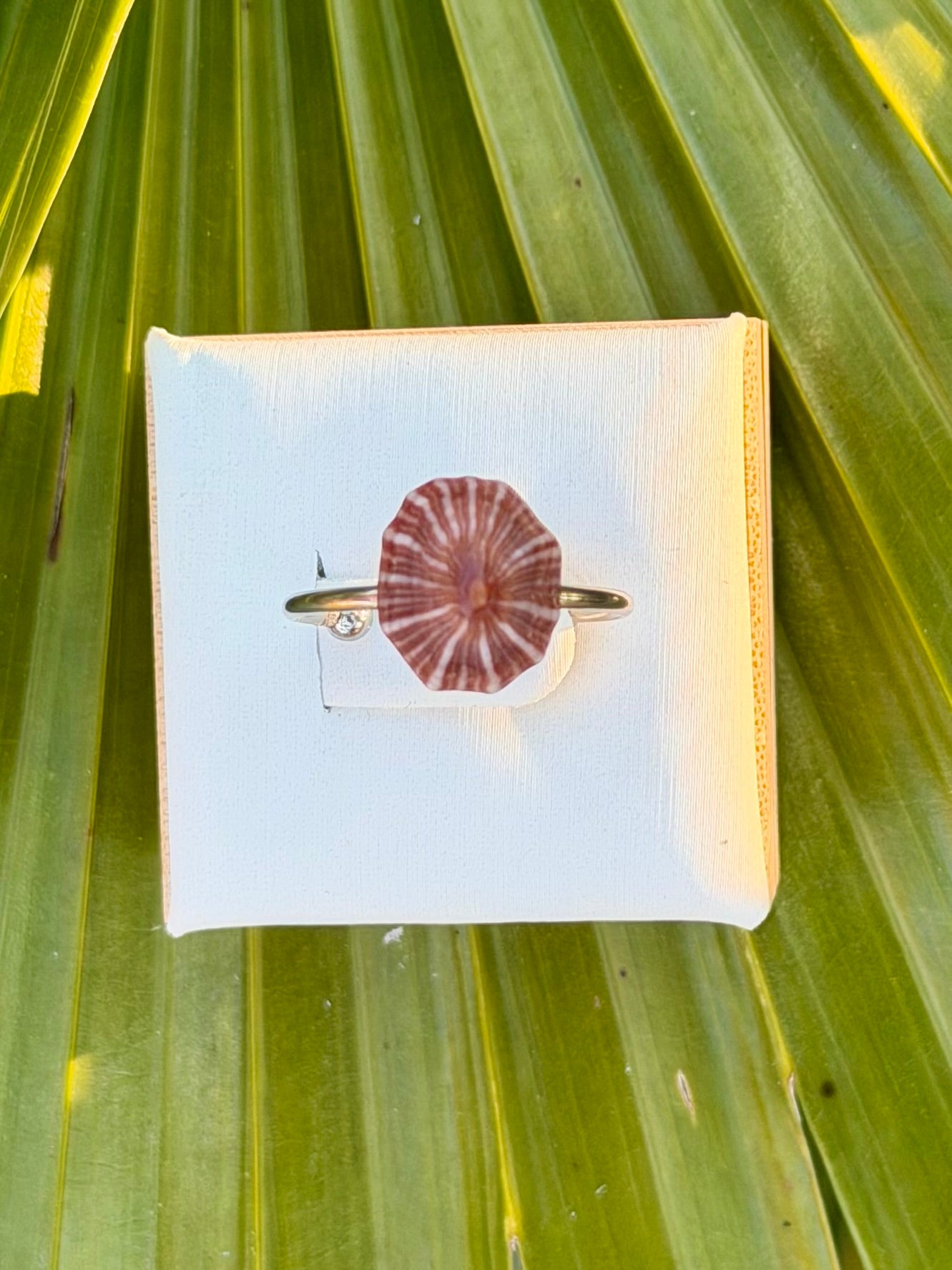 Opihi Rings - Silver