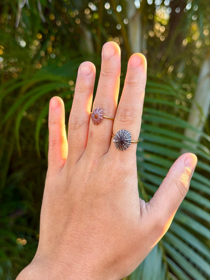 Opihi Rings - Silver