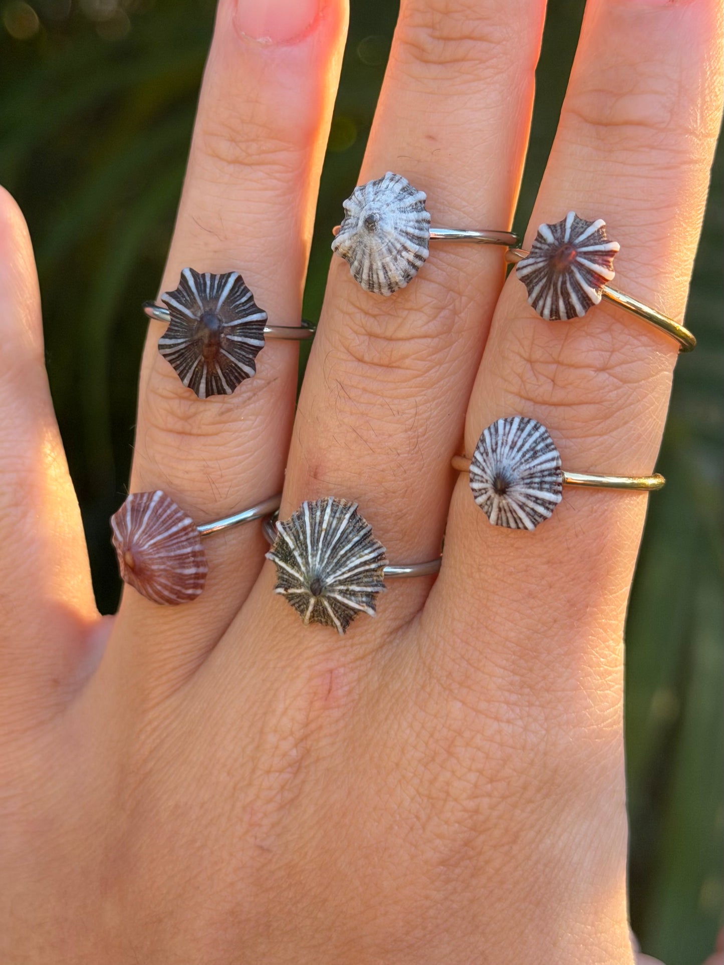 Opihi Rings - Silver
