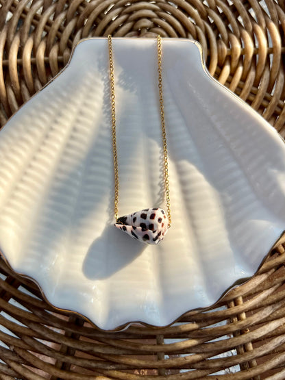 Hebrew Cone Shell Necklace